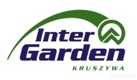 logo-inter (9 kB)